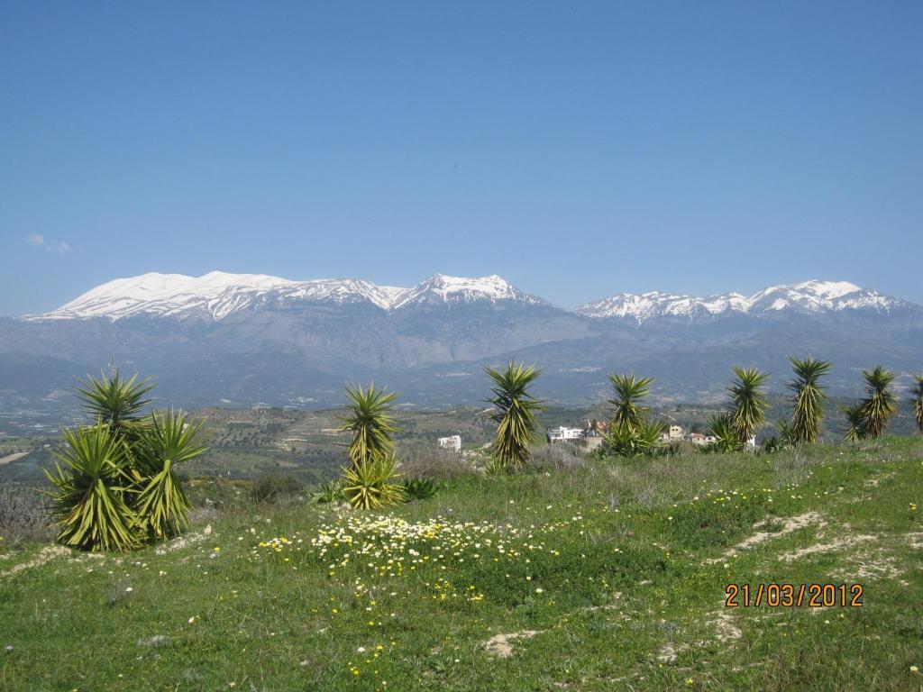 Vrisi Apartments & Villa Pitsidia Bagian luar foto